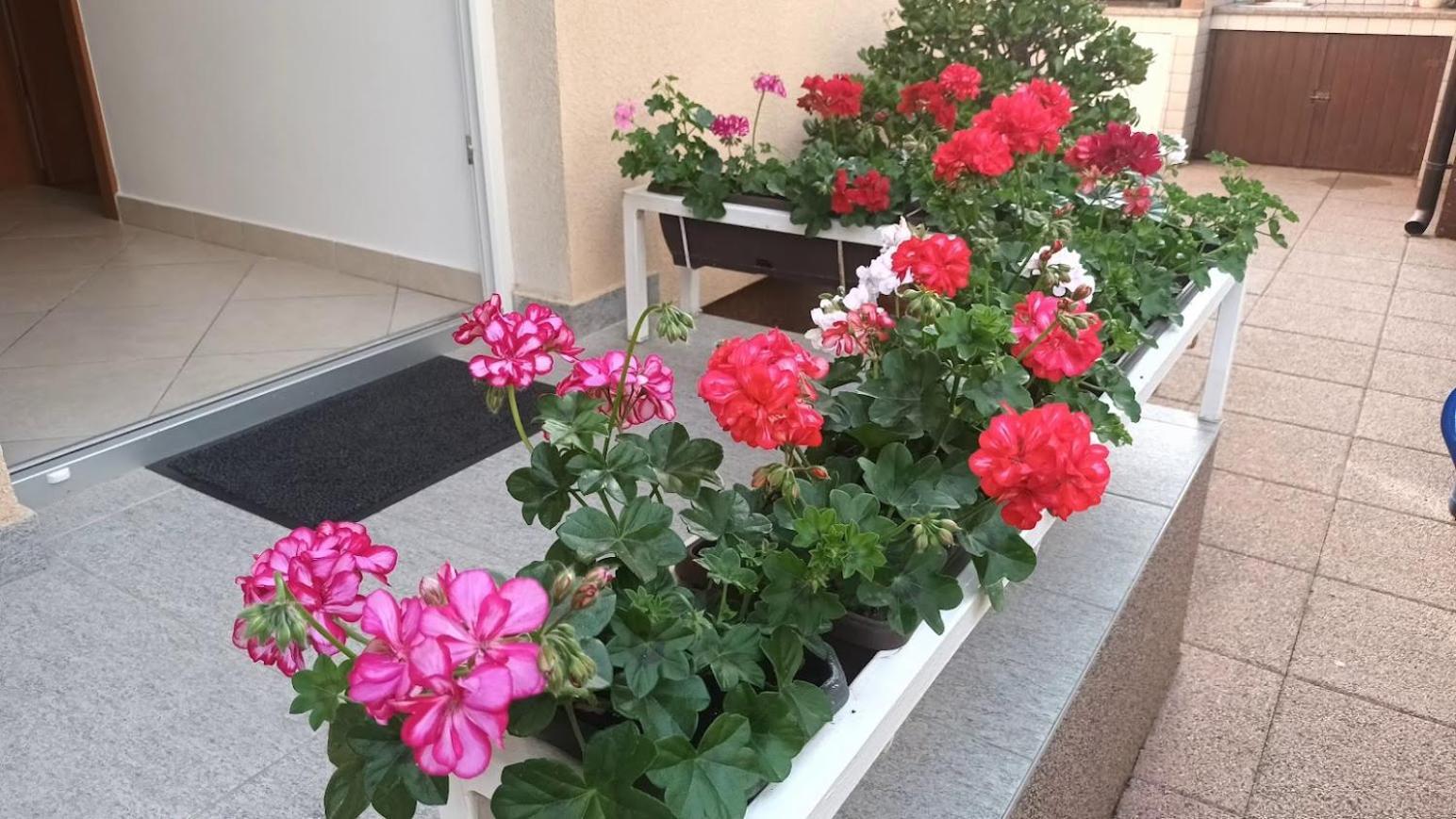 Apartment Marelja - Private Parking And Balcony Zadar Exterior photo